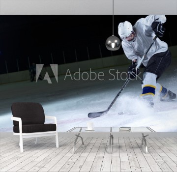 Picture of ice hockey player in action